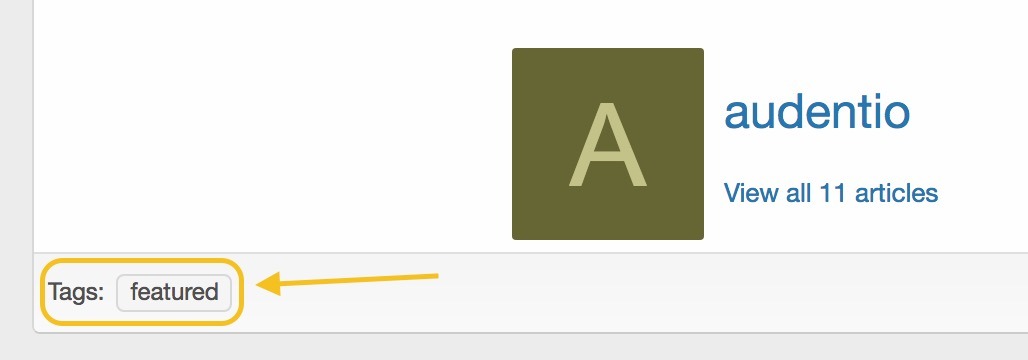 View of the functional tags on blog posts below article information